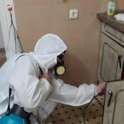 Дезинфекция от муравьев в квартире в Суоярви