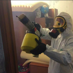 Уничтожение клопов в квартире. Суоярви